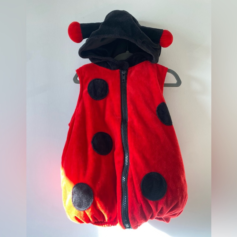 Red Ladybug Costume with Black Dots